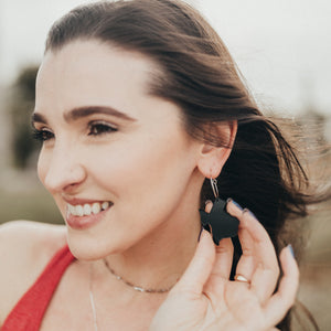 Acrylic Texas Earrings